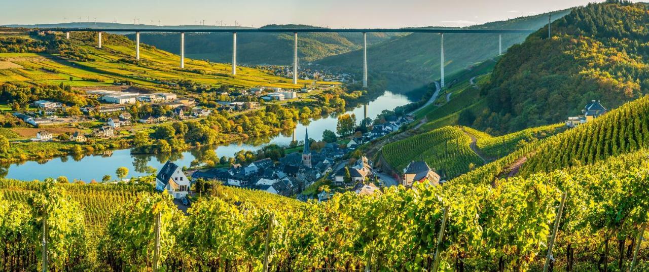 Ferienhaus Am Moselsteig Ürzig Exteriér fotografie